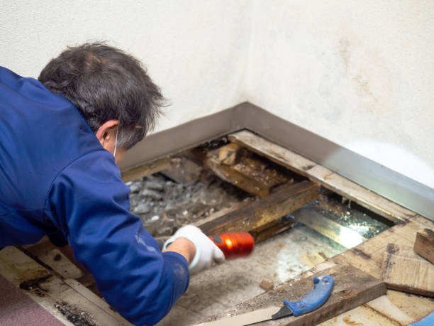 Best Office Mold Removal Services  in Garretson, SD