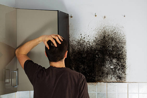 Best Toxic Mold Removal  in Garretson, SD